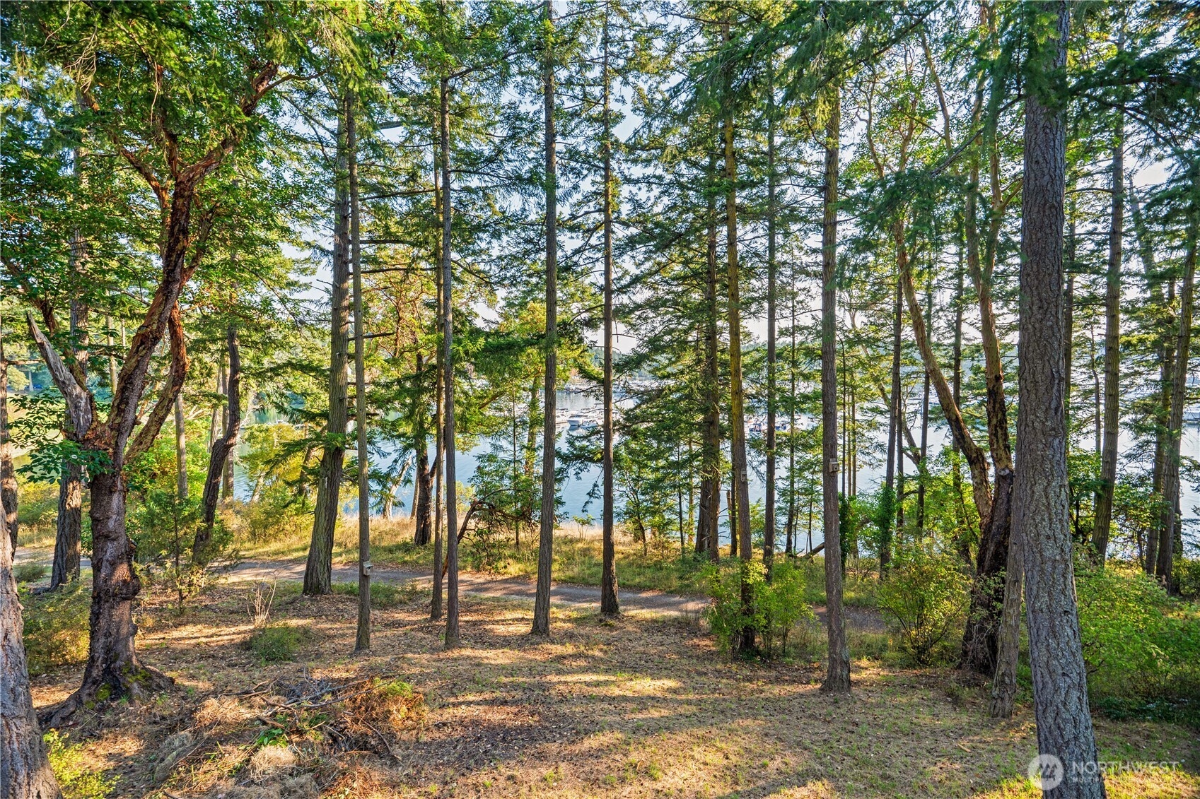 309 Afterglow Drive , Friday Harbor, WA 98250