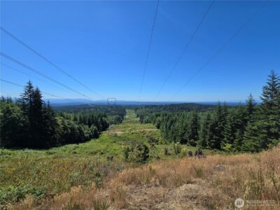 228 XX W King Lake Road , Monroe, WA 98272 - Photo 12