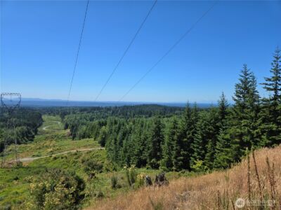 228 XX W King Lake Road , Monroe, WA 98272 - Photo 13