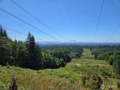 228 XX W King Lake Road , Monroe, WA 98272 - Photo 14