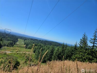 228 XX W King Lake Road , Monroe, WA 98272 - Photo 15