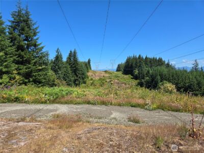 228 XX W King Lake Road , Monroe, WA 98272 - Photo 16