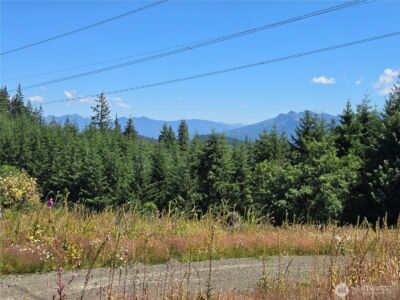 228 XX W King Lake Road , Monroe, WA 98272 - Photo 17