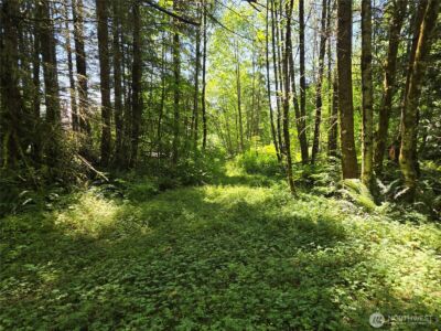 228 XX W King Lake Road , Monroe, WA 98272 - Photo 19