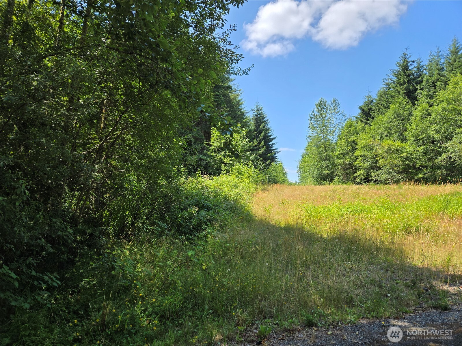 228 XX W King Lake Road , Monroe, WA 98272