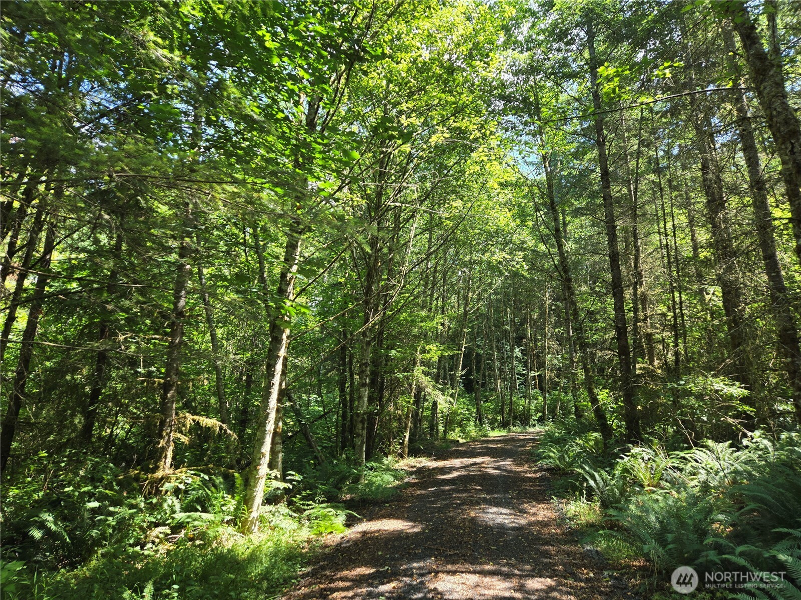 228 XX W King Lake Road , Monroe, WA 98272