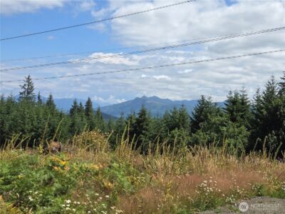 228 XX W King Lake Road , Monroe, WA 98272 - Photo 27