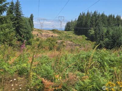 228 XX W King Lake Road , Monroe, WA 98272 - Photo 28