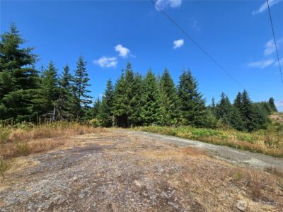 228 XX W King Lake Road , Monroe, WA 98272 - Photo 29
