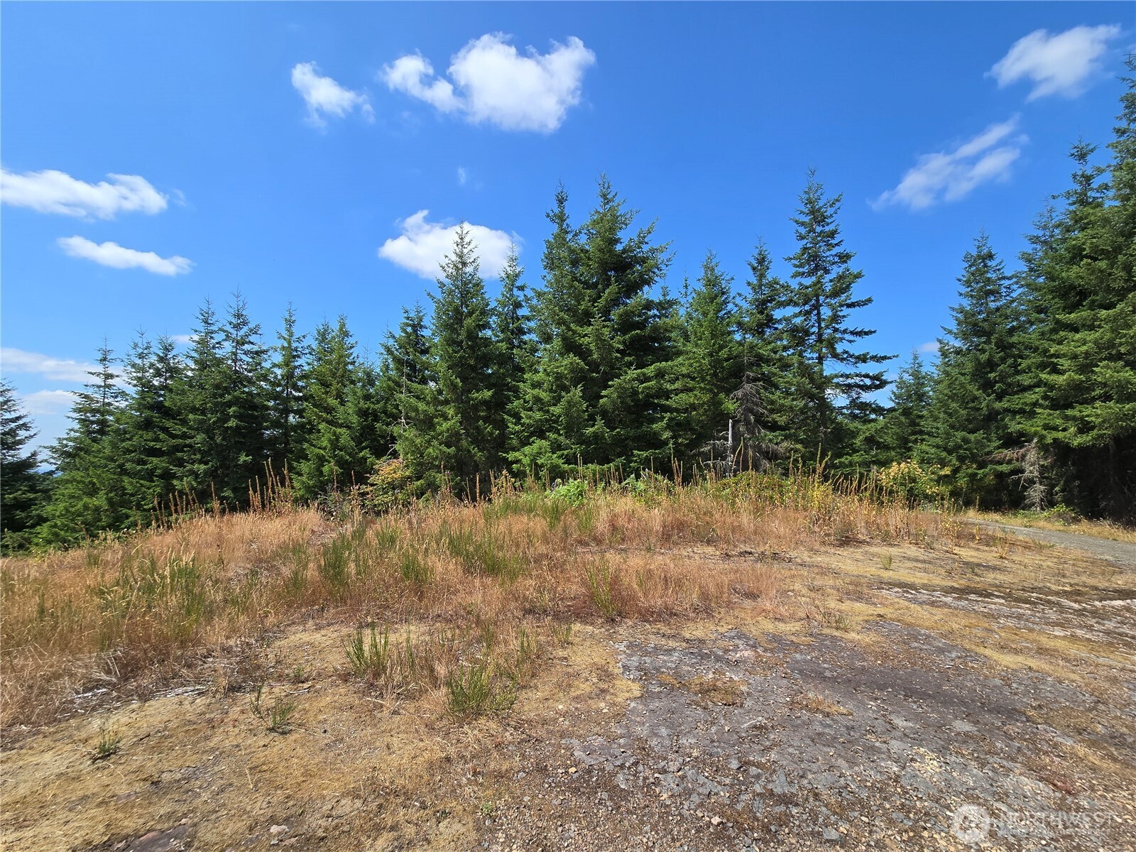 228 XX W King Lake Road , Monroe, WA 98272