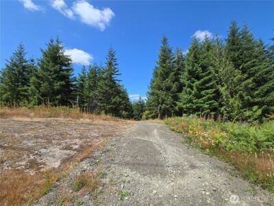 228 XX W King Lake Road , Monroe, WA 98272 - Photo 31