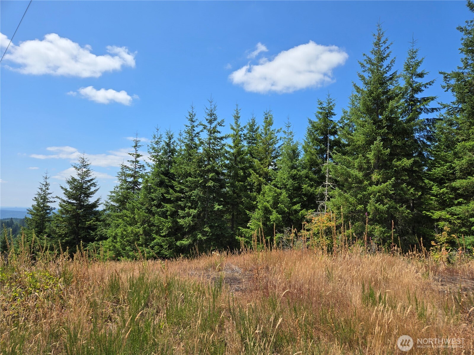 228 XX W King Lake Road , Monroe, WA 98272
