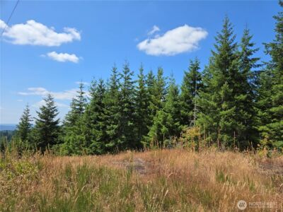 228 XX W King Lake Road , Monroe, WA 98272 - Photo 32