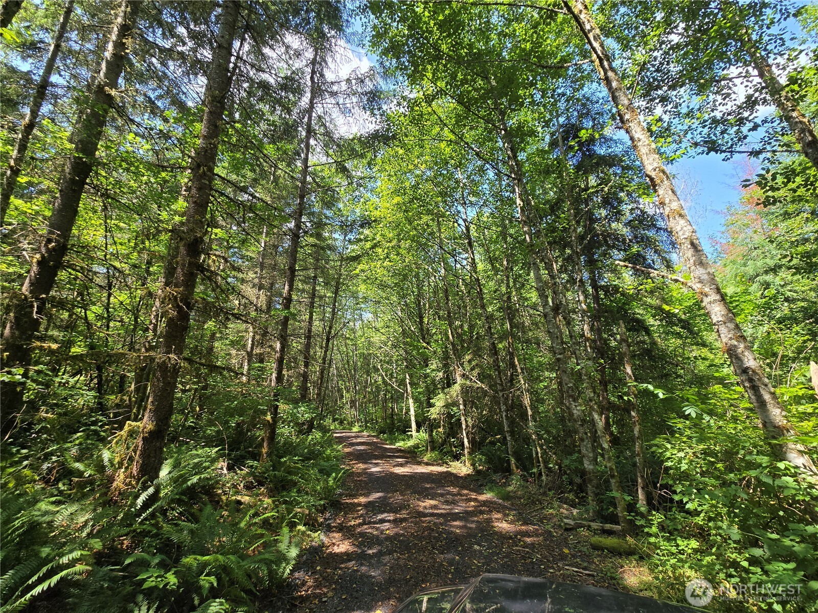 228 XX W King Lake Road , Monroe, WA 98272