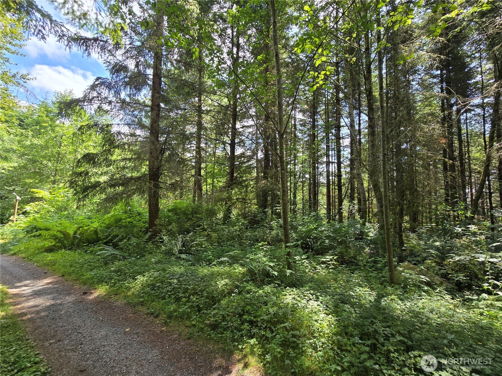 228 XX W King Lake Road , Monroe, WA 98272