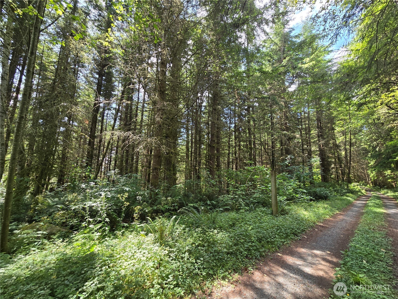 228 XX W King Lake Road , Monroe, WA 98272