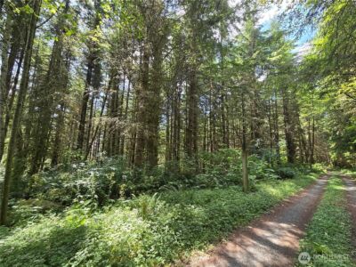 228 XX W King Lake Road , Monroe, WA 98272 - Photo 37