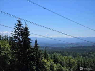 228 XX W King Lake Road , Monroe, WA 98272 - Photo 5
