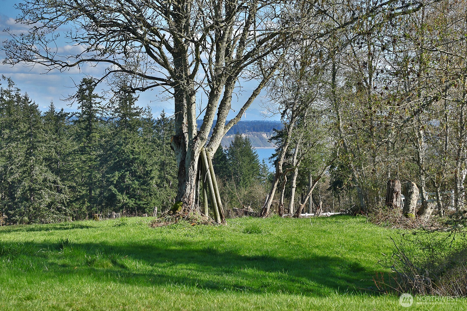 0 Panorama Drive , Freeland, WA 98249