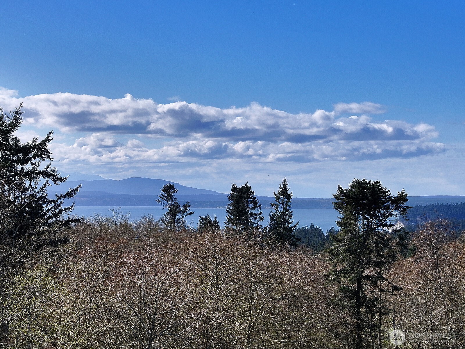 0 Panorama Drive , Freeland, WA 98249