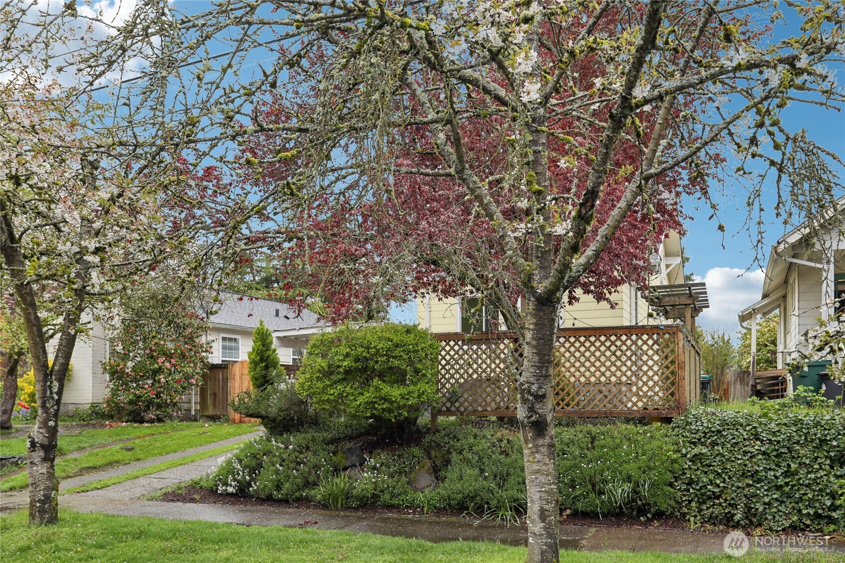 8207 Meridian Avenue N, Seattle, WA 98103