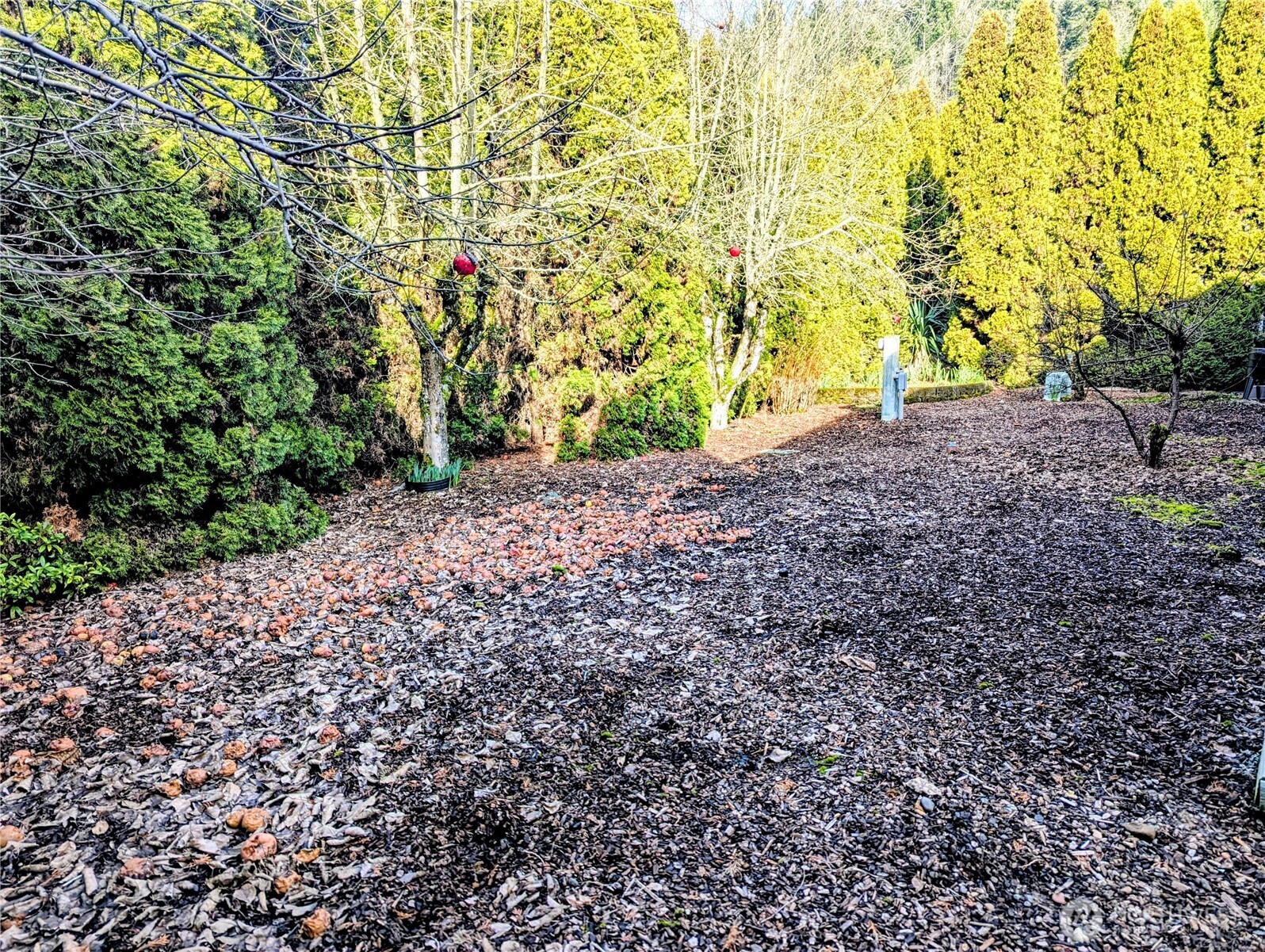 5400 Meeker Drive #76, Kalama, WA 98625