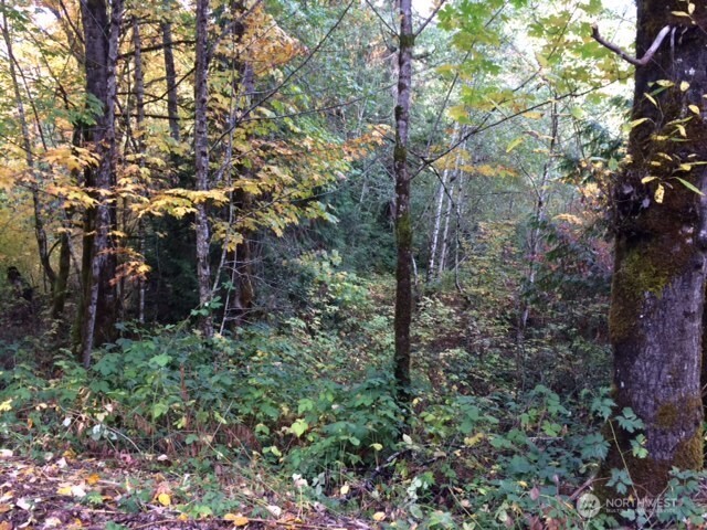 25116 SE 146th Street , Issaquah, WA 98027
