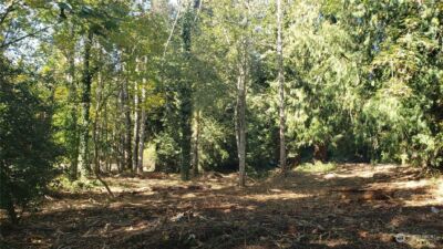 132 XX SE 231st Street , Kent, WA 98042 - Photo 12