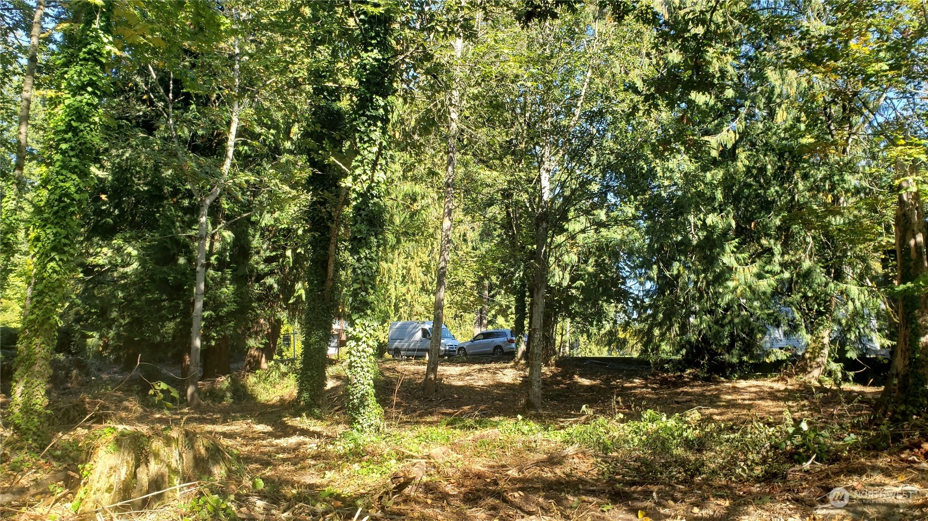132 XX SE 231st Street , Kent, WA 98042