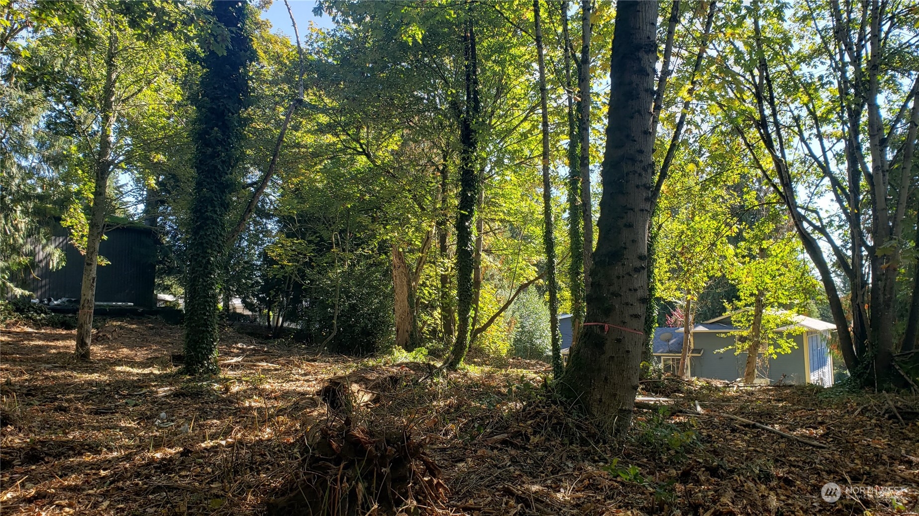 132 XX SE 231st Street , Kent, WA 98042