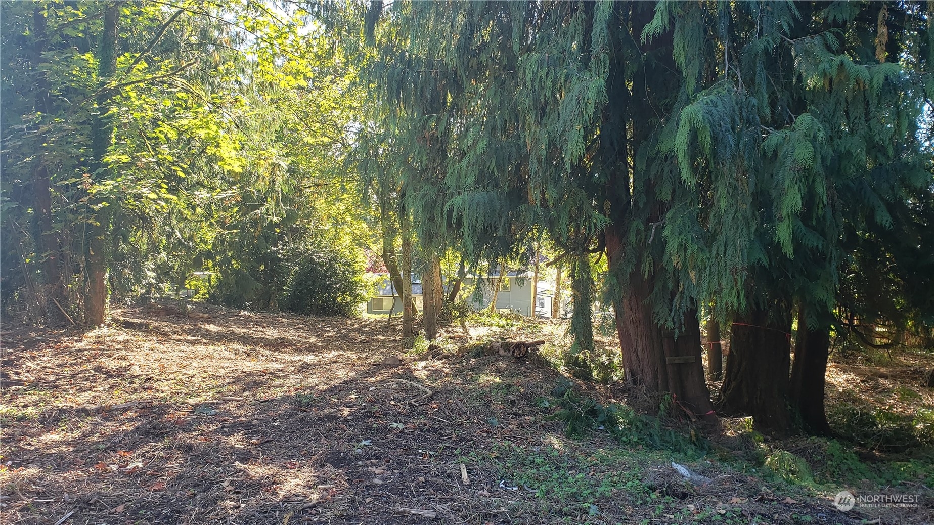 132 XX SE 231st Street , Kent, WA 98042