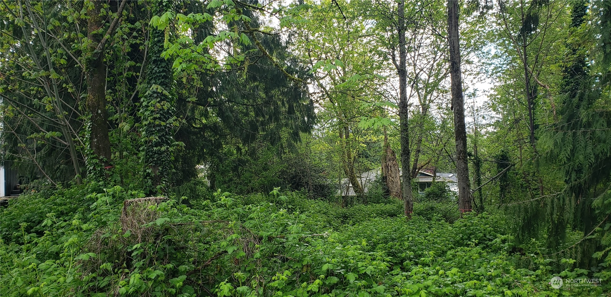 132 XX SE 231st Street , Kent, WA 98042