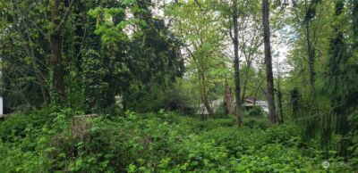 132 XX SE 231st Street , Kent, WA 98042 - Photo 21