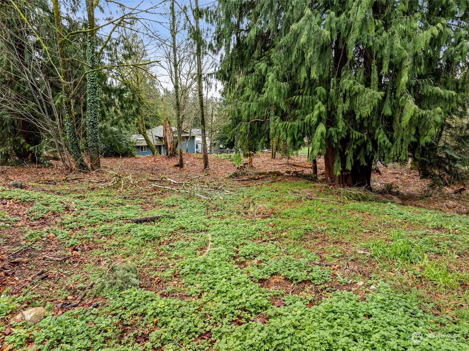 132 XX SE 231st Street , Kent, WA 98042