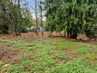 132 XX SE 231st Street , Kent, WA 98042 - Photo 22