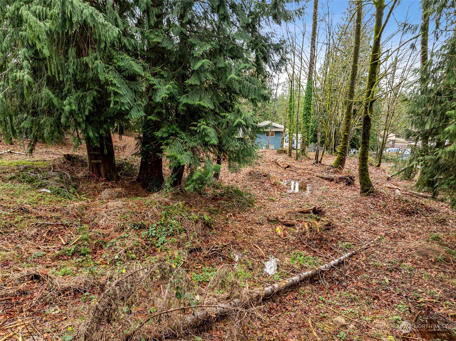 132 XX SE 231st Street , Kent, WA 98042
