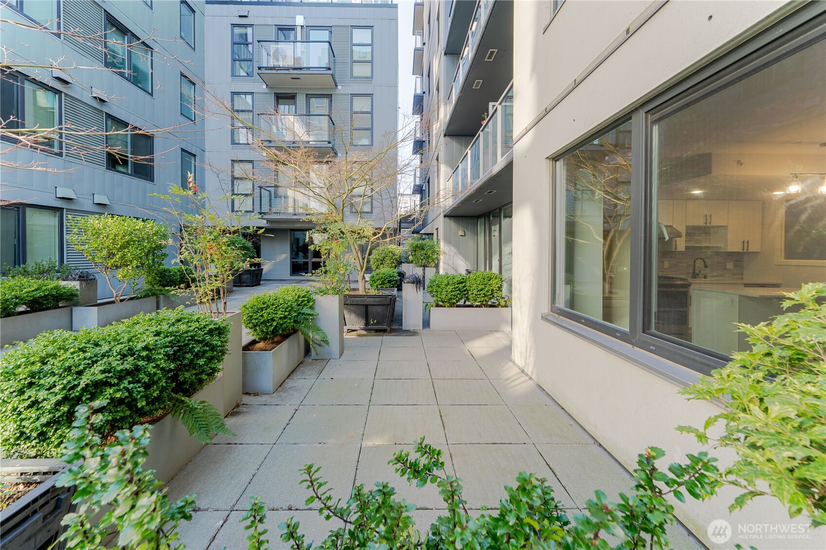 76 Cedar Street #303, Seattle, WA 98121