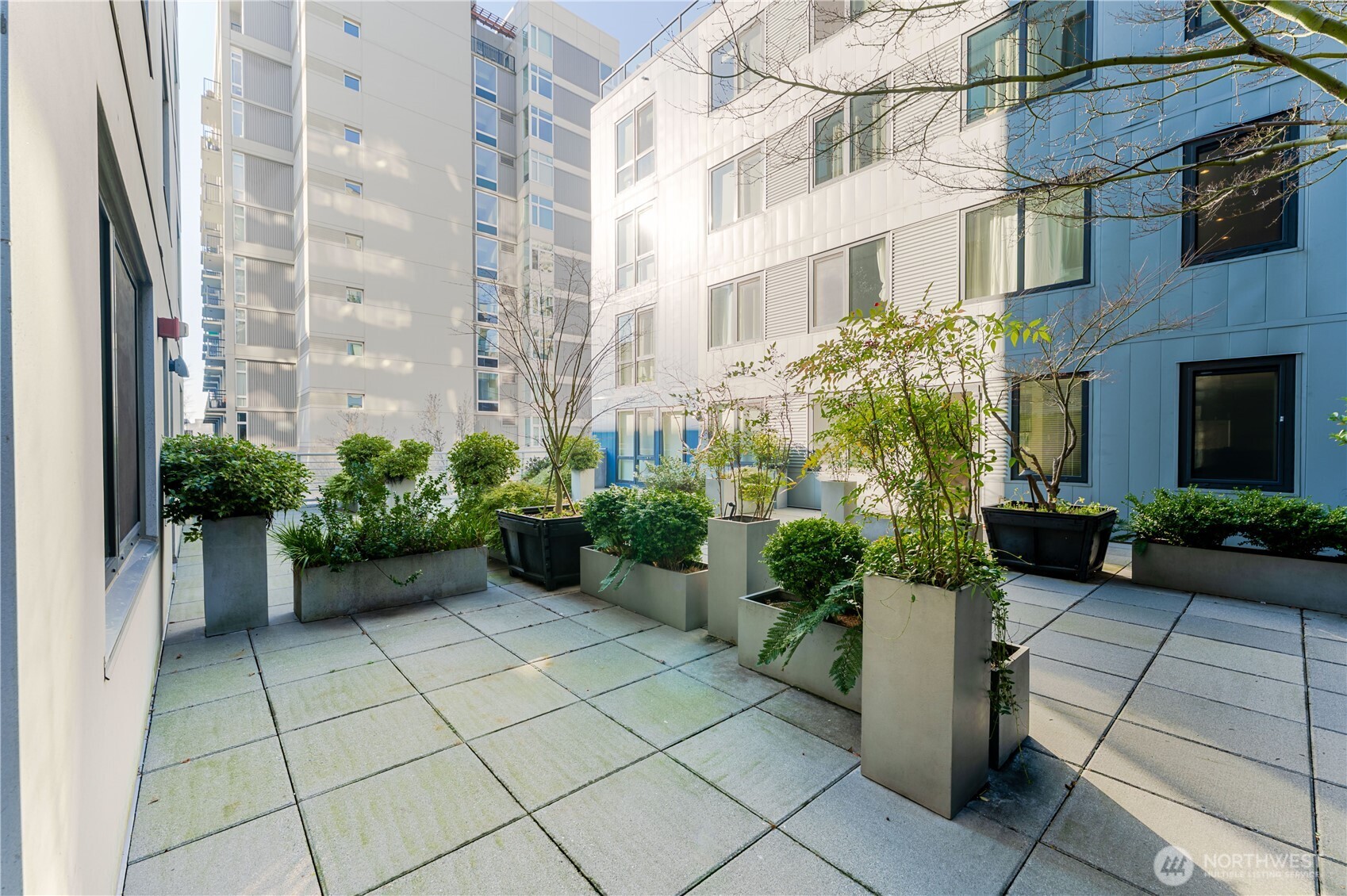 76 Cedar Street #303, Seattle, WA 98121