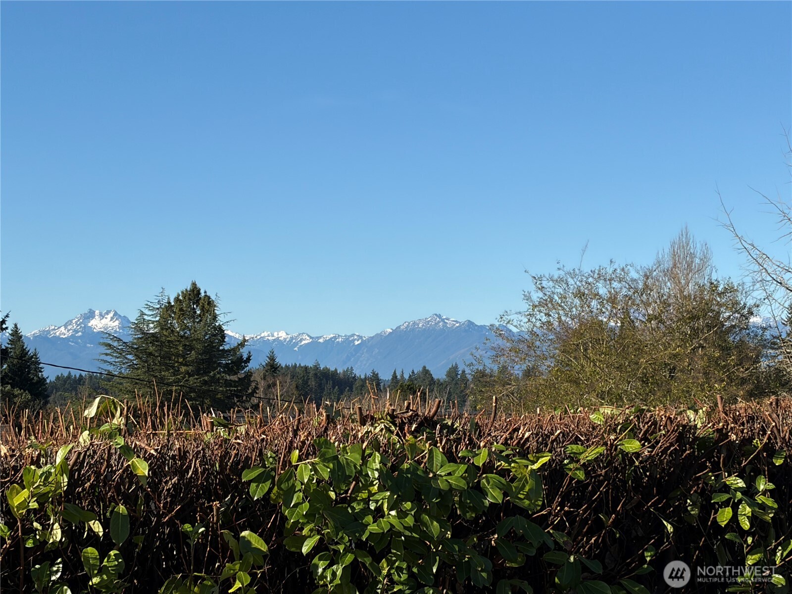 3518 Petersville Road NE, Bremerton, WA 98310-4782