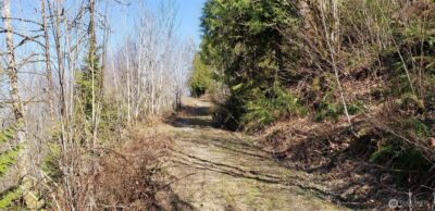 0 Concrete Sauk Valley Road , Concrete, WA 98237 - Photo 2