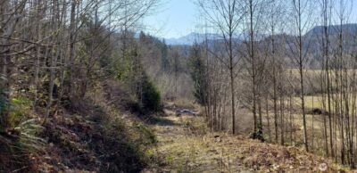 0 Concrete Sauk Valley Road , Concrete, WA 98237 - Photo 3