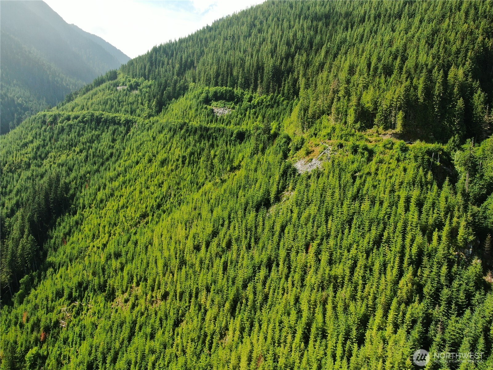 0 Finney Cumberland Road , Sedro Woolley, WA 98284