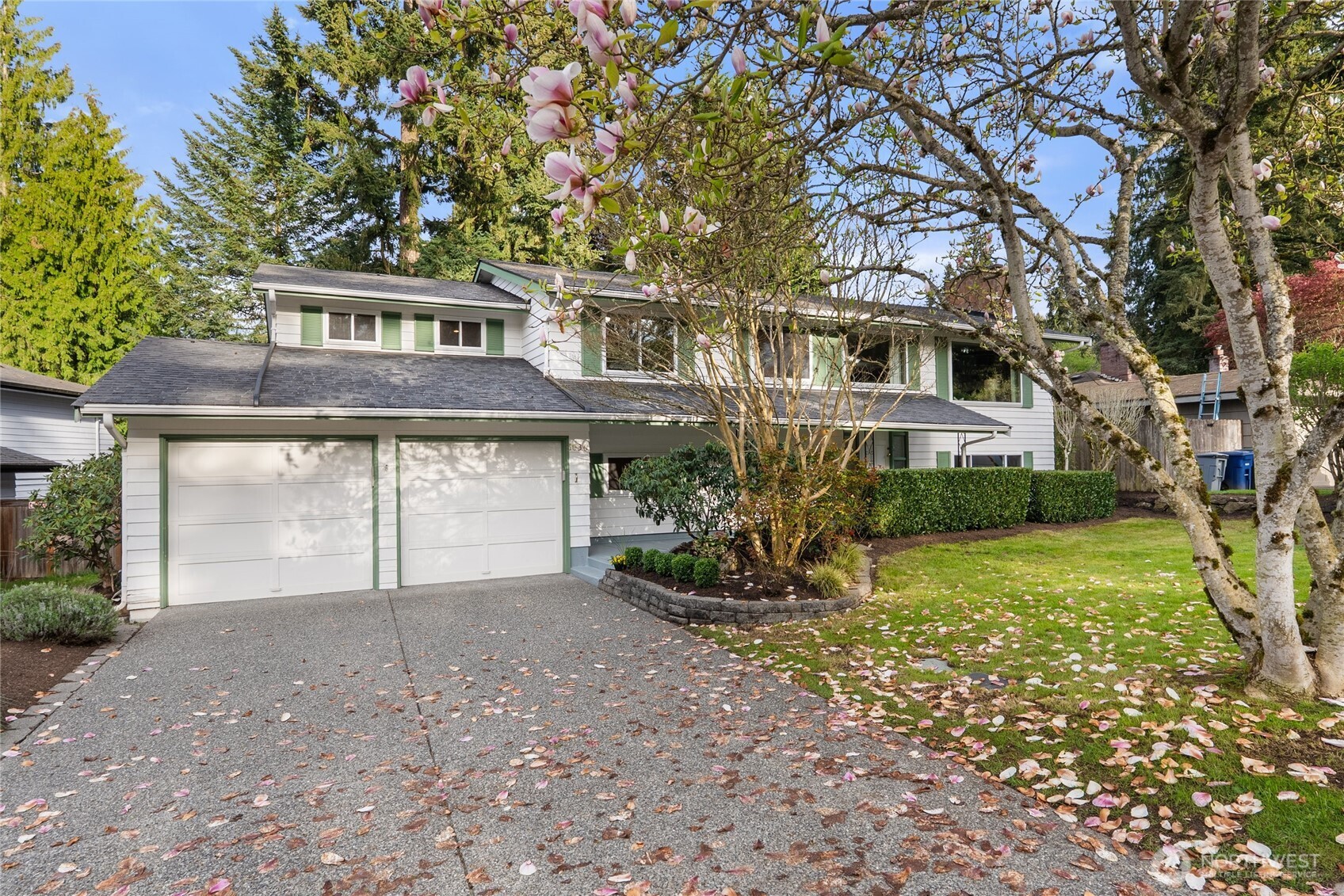 1036 146th Avenue SE, Bellevue, WA 98007