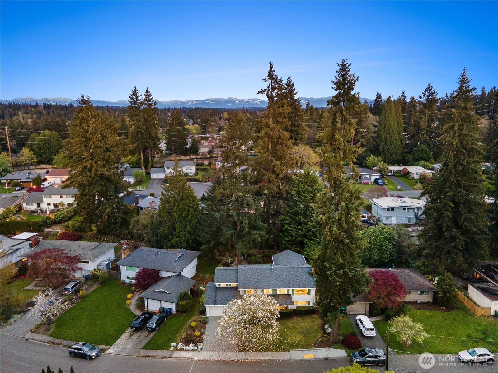 1036 146th Avenue SE, Bellevue, WA 98007