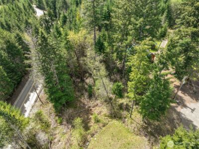 0 Lot 26 Terrace Way , Packwood, WA 98361 - Photo 4