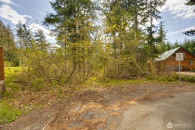 0 Lot 26 Terrace Way , Packwood, WA 98361 - Photo 5