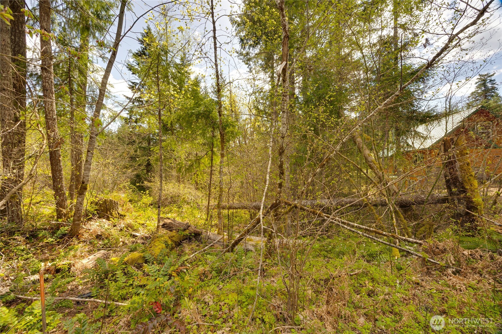 0 Lot 26 Terrace Way , Packwood, WA 98361
