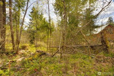 0 Lot 26 Terrace Way , Packwood, WA 98361 - Photo 6