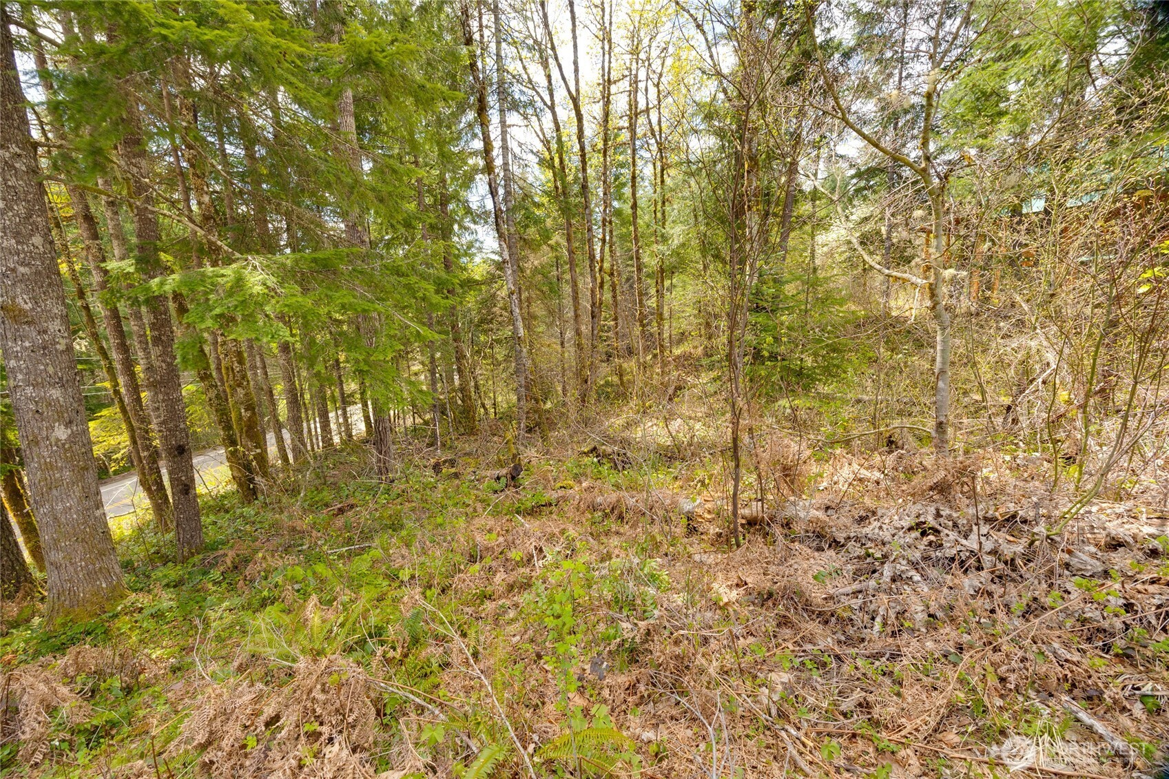 0 Lot 26 Terrace Way , Packwood, WA 98361