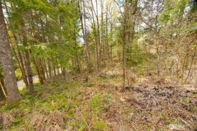 0 Lot 26 Terrace Way , Packwood, WA 98361 - Photo 7